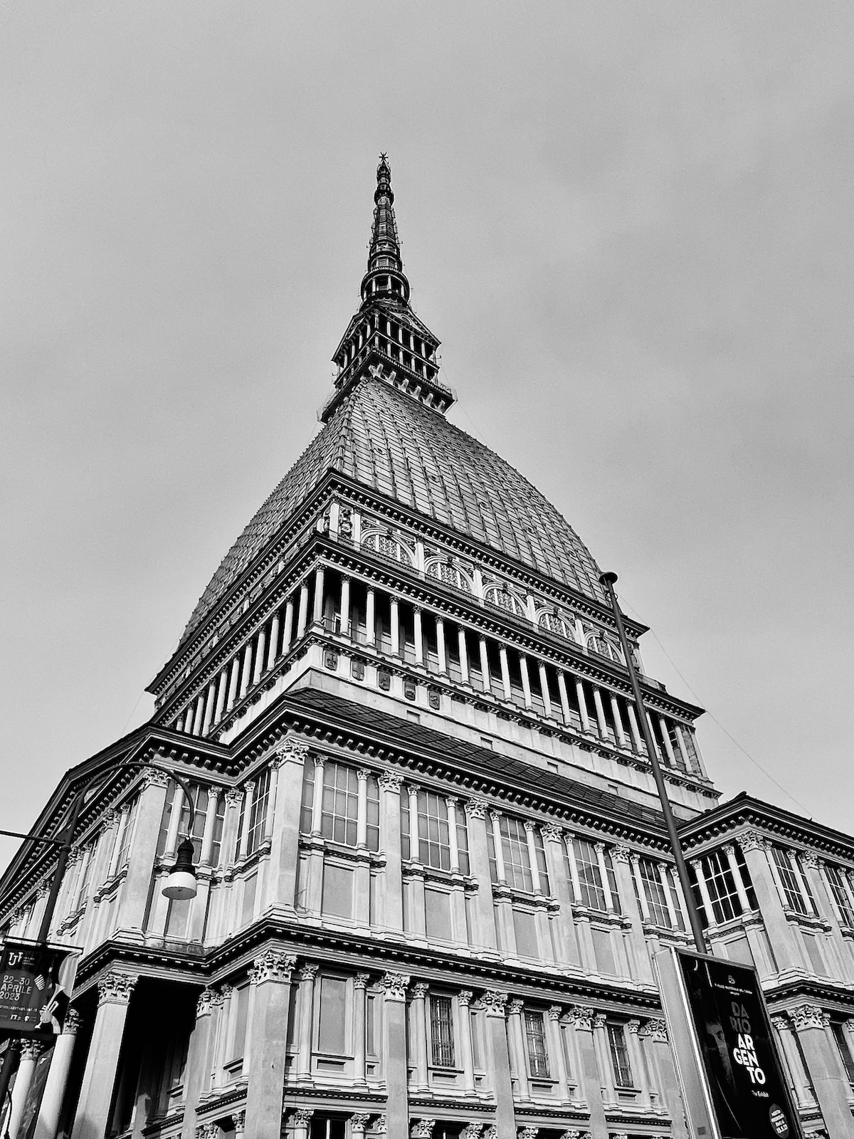 Portfolio Image 4